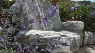 Large Garden Project Step by Step Demo