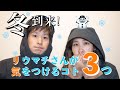 【リウマチ生活】冬のリウマチの過ごし方☃️最近の購入品も紹介!【実嫁】