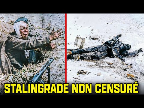 Stalingrad Sans Censure | Le Jour Où L’Armée D’Hitler Est Tombée | Documentaire En PURE COULEUR