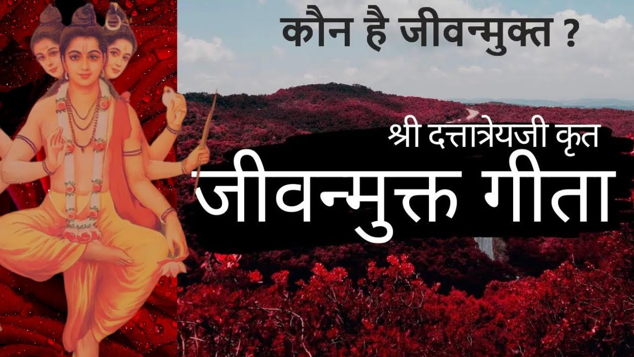 कौन है जीवन्मुक्त ? श्री दत्तात्रेयजी कृत  ( जीवन्मुक्त गीता ) 
