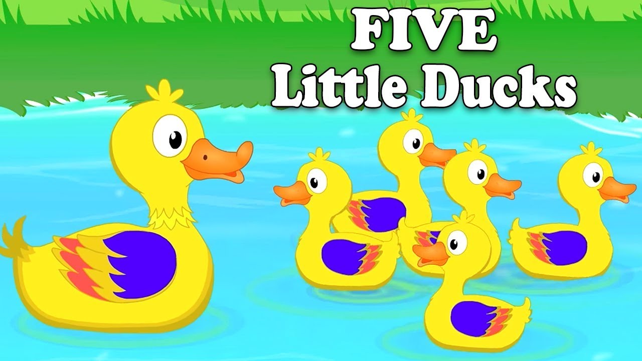 Five Little Ducks | sang for babyer | førskolen rim | Nursery Rhyme ...