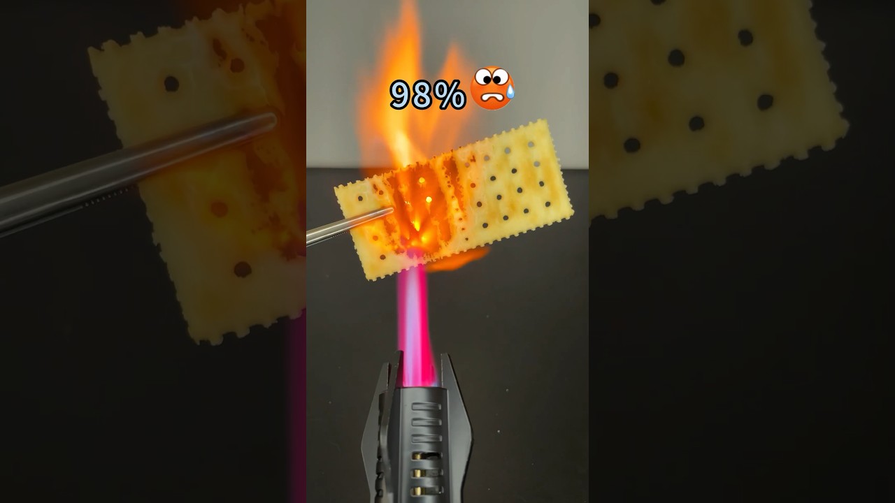 Lighter 🆚 Soda Crackers 🍪 #phonk #music #lighter