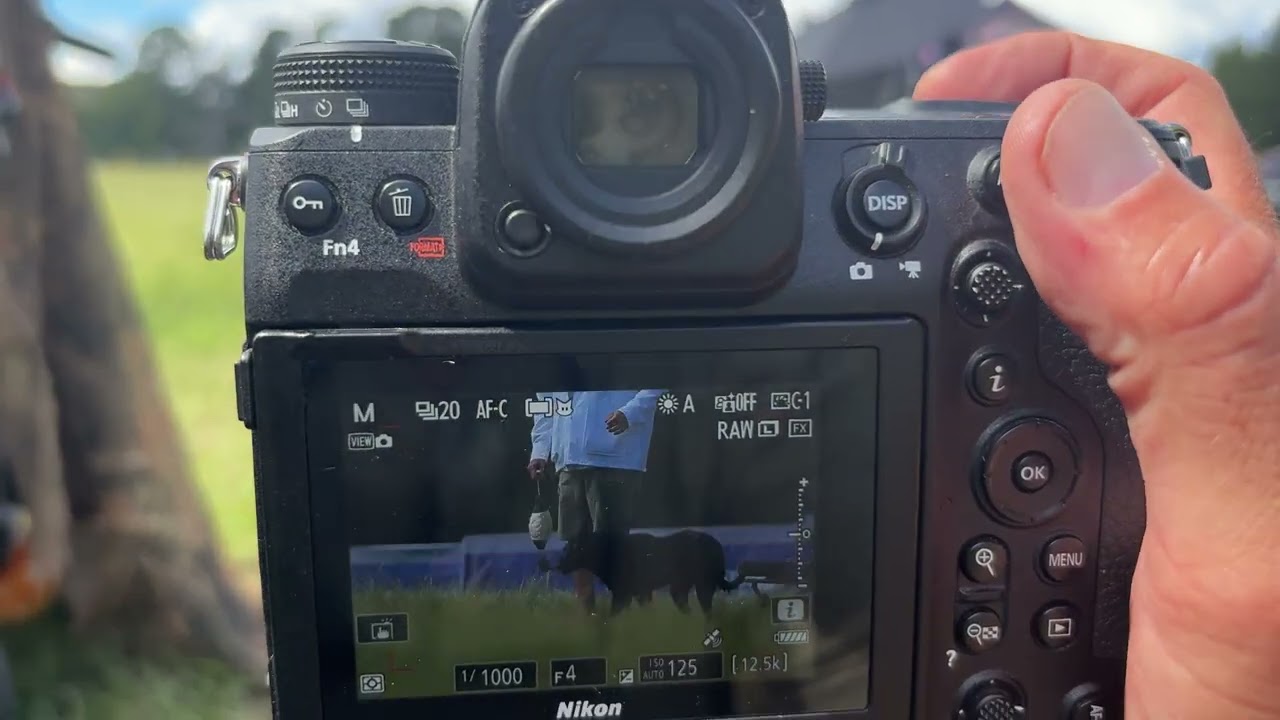 Z9 Animal Eye Tracking - Real World - Dog Photography