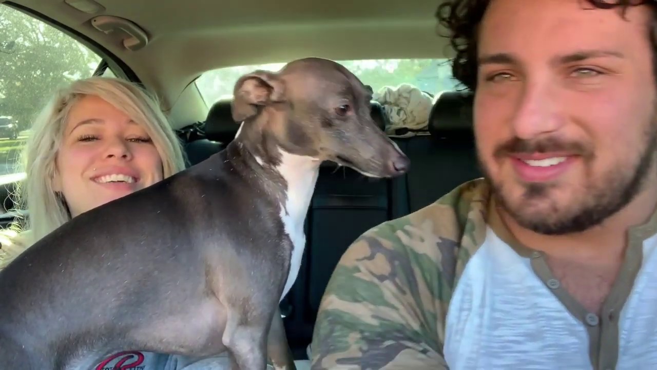 Florida Fort Pierce Goodwill Outlet (Bins) Haul Fresh Florida Finds