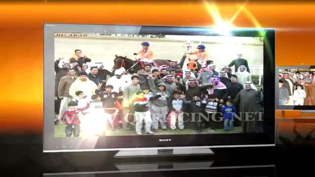 بطل كأس المناطق الجواد عز التحرير : لاسطبل التحرير