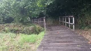 Senda dos sentidos: Ponte do porco, Puerto de Miño.