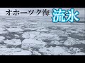 【日本唯一の車窓】流氷を求め、厳冬の釧網本線で砕氷船に乗車しに行こう【圧巻】