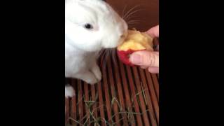 Jack eats apple