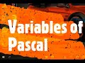Pascal programming 2 - Variables