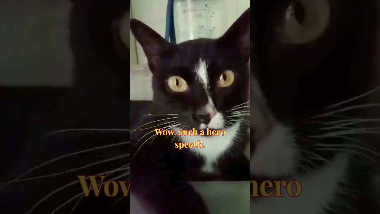 Hero Speech, Hidden Bank Account 