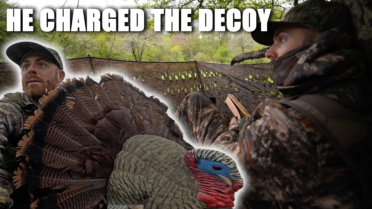 Chased Gobbles All Day | New York Turkey Hunting