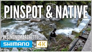 Spinning in Torrente con Shimano Cardiff Pinspot - Simone Marchetti