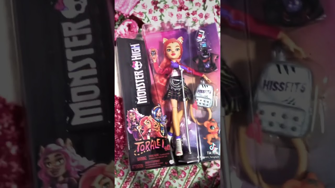 Monster high haul 