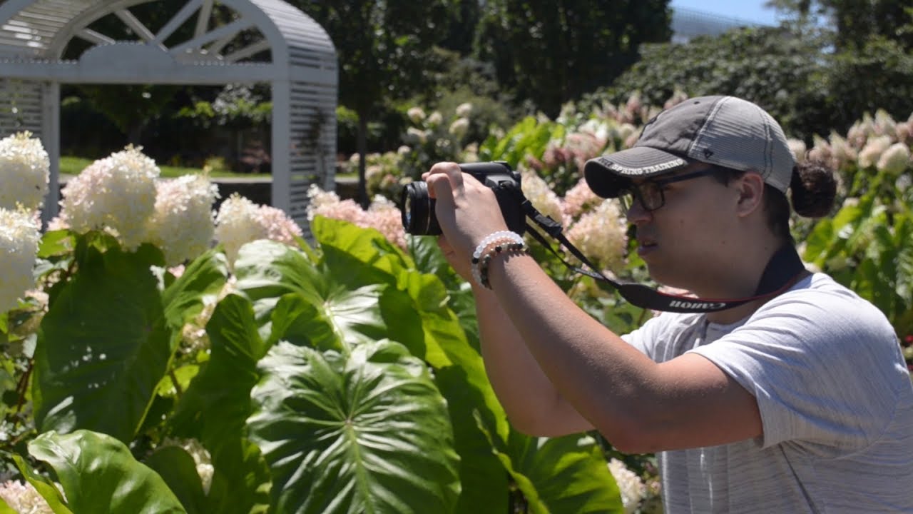 How to Take Photos and Play Pokemon