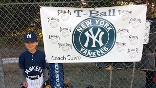 2016 Yankees Tee-Ball (Team)