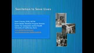 Sanitation to Save Lives (full video) - conference recording
