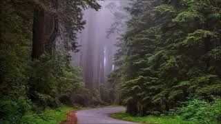 Download Lagu 7] LAGU POP SUNDA LAWAS - IBUN SAREUPNA - Lagu Sunda Untuk Teman Kerja MP3