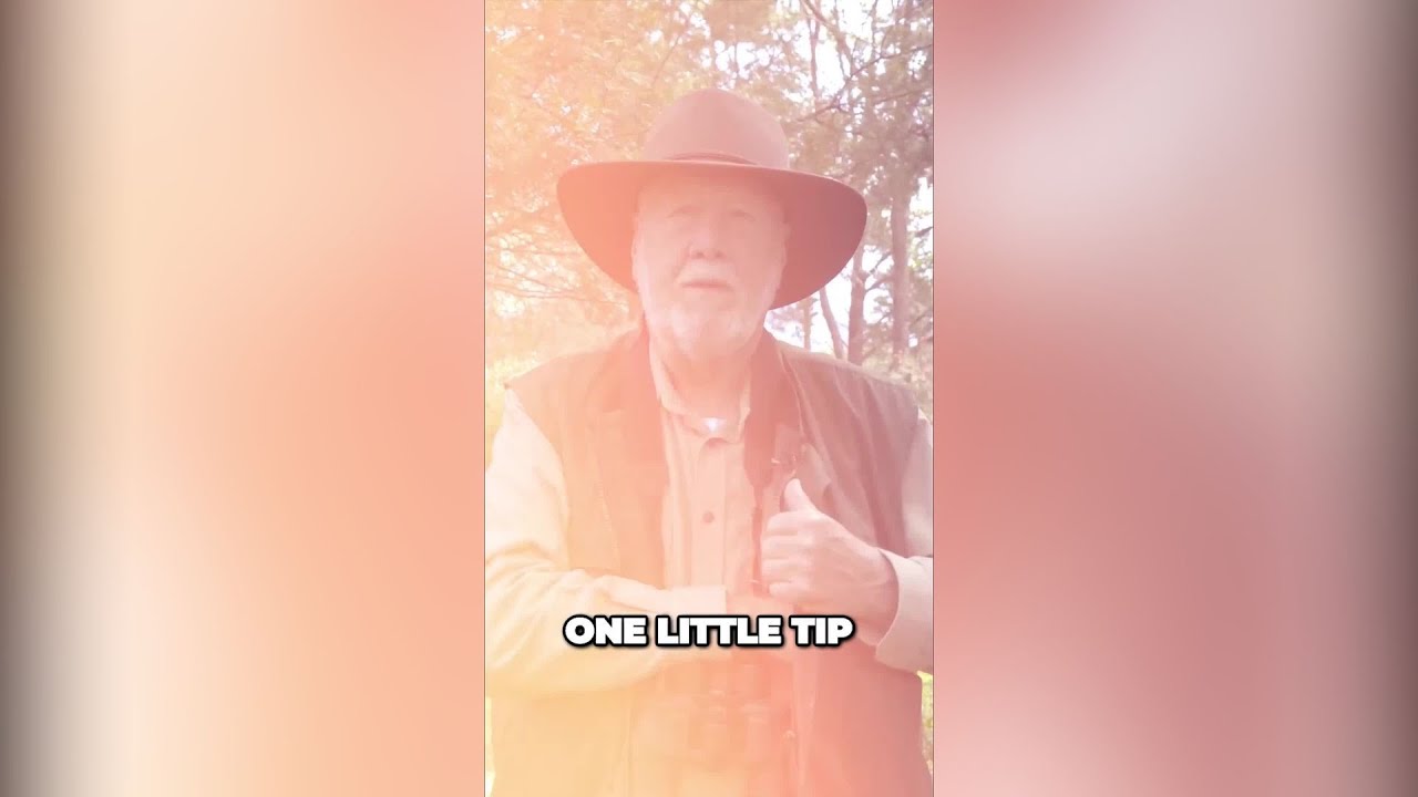 Birdwatching Tip: Never Lose Sight!