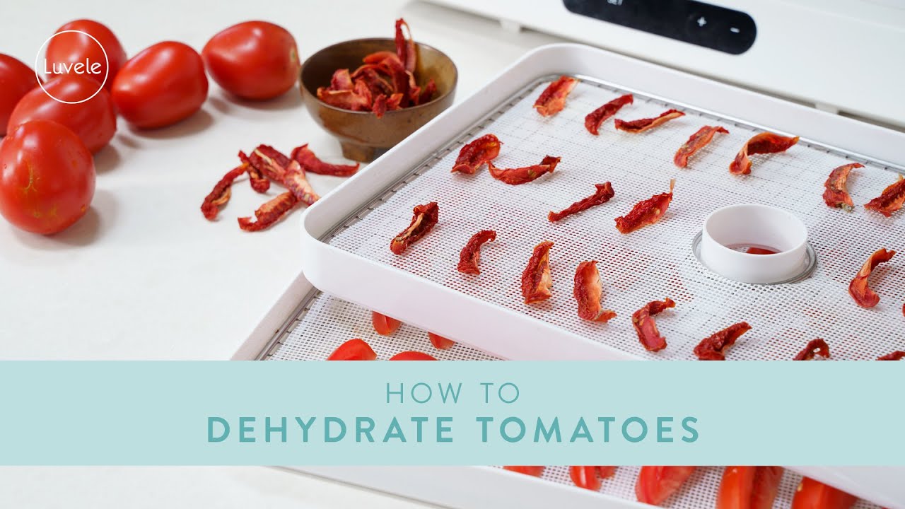 How to Dehydrate Tomatoes DIY 'sundried tomatoes' YouTube