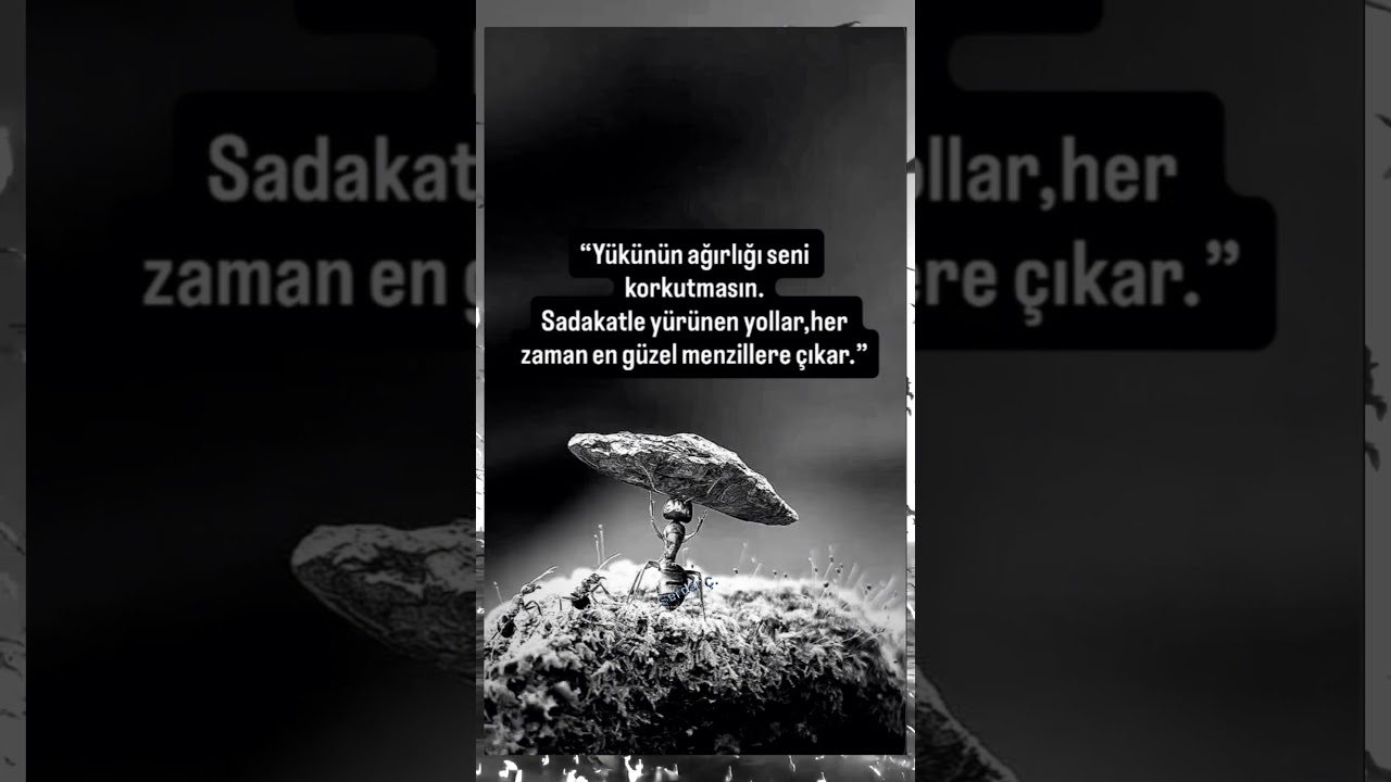 Yol her ne kadar ağır olsa da Sadakat kazanır 🙌 #gününsözü #serdarc