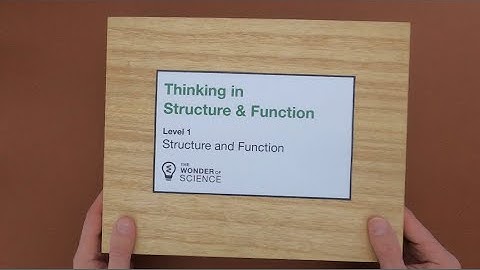 Structure and Function