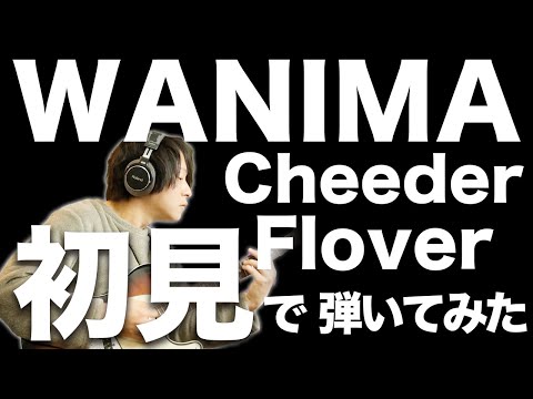 リクエストありがとう！【初挑戦】1mmも知らないWANIMAのChedder Floverを初見でギター弾いてみたら久しぶりに敗北を味わった【初見で弾いてみた】