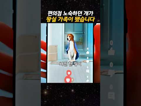 편의점 노숙하던 개가 왕실 가족이 됐습니다 thumbnail