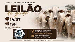 GRANDE LEILÃO DE GADO  - 14/07/2026 - HD LEILÕES E EVENTOS -ITAPORANGA/SP #agro #pecuaria #aovivo