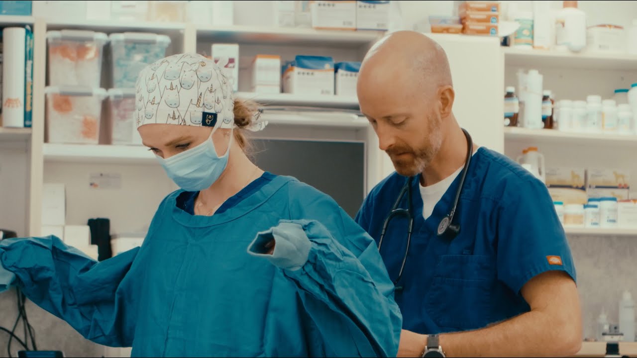 Alpine Veterinary Medical Centre — Whitehorse, Yukon