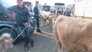 Berde Mal Bazari 23.05.2025.050.571.71.57