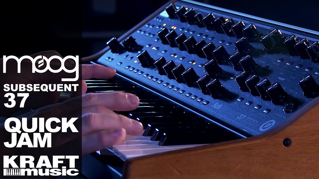 Choe！MOOG Subsequent 37 デッキセーバー付き Subsequent 37 cover