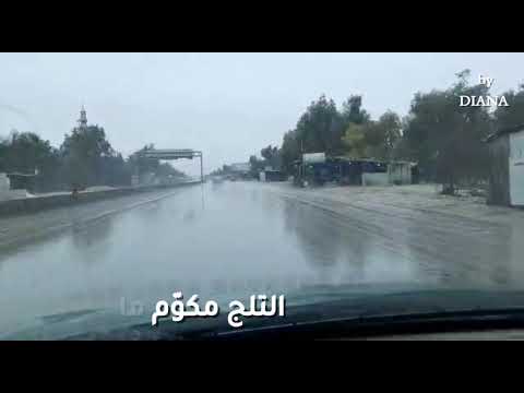 ليل و رعد و برد و ريح وائل كفوري  
