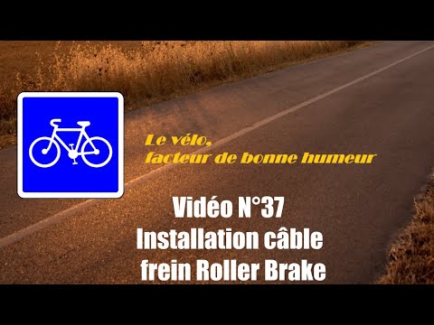 Outil Shimano TL-IM21 Pour Fixation Et Coupe De Câble De Frein - Neuf