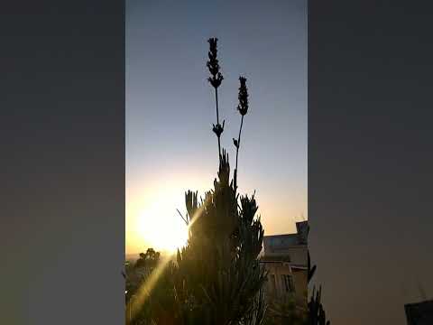 ألسنا أحق بقلب سعيد 