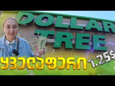 ყველაფერი 1,25 $/ Dollar Tree/green card/ამერიკა/მწვანე ბარათი/რა ღირს პროდუქტი ამერიკაში/ფასები