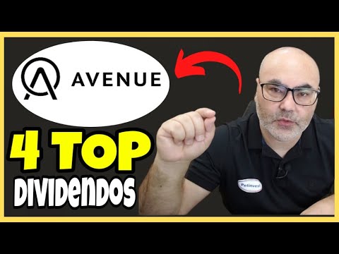 TOP 4 AÇÕES QUE PAGAM DIVIDENDOS EM DOLAR I #Avenue