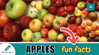 Amazing Facts About Apples 🍎 - Information, Fun Facts & More!