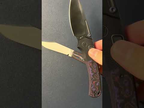 Would you carry this?