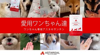 こちらは専用です 他の方は購入ご遠慮ください アニクリル 犬用サプリメント ワンちゃん専用アスタキサンチン |ペット用サプリメント