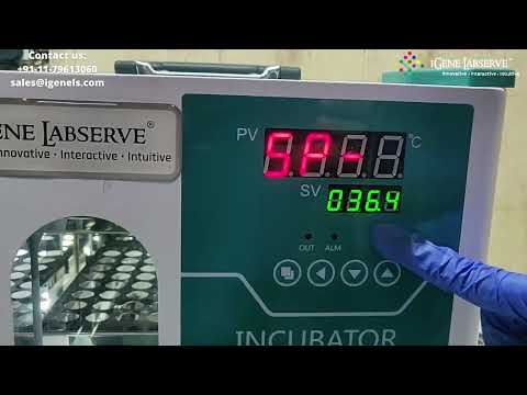 Portable Incubator | IGene Labserve Laboratory Incubator