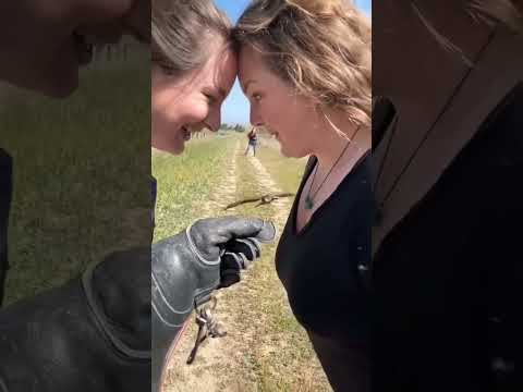 فيديو جميلة اجمل أفضل في جدااااا 