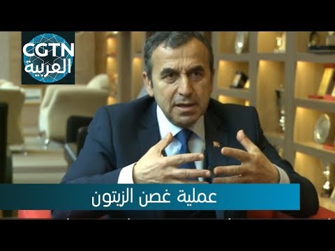 عملية غصن الزيتون محلل تركي عمليات أنقرة العسكرية تهدد أهداف واشنطن في شمال سوريا