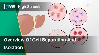 Overview Of Cell Separation And Isolation | Cell Bio | Video Textbooks - Preview