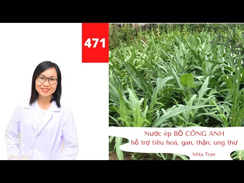 Video #471. Nước ép bồ công anh hỗ trợ tiêu hoá, lọc gan,... - youtube