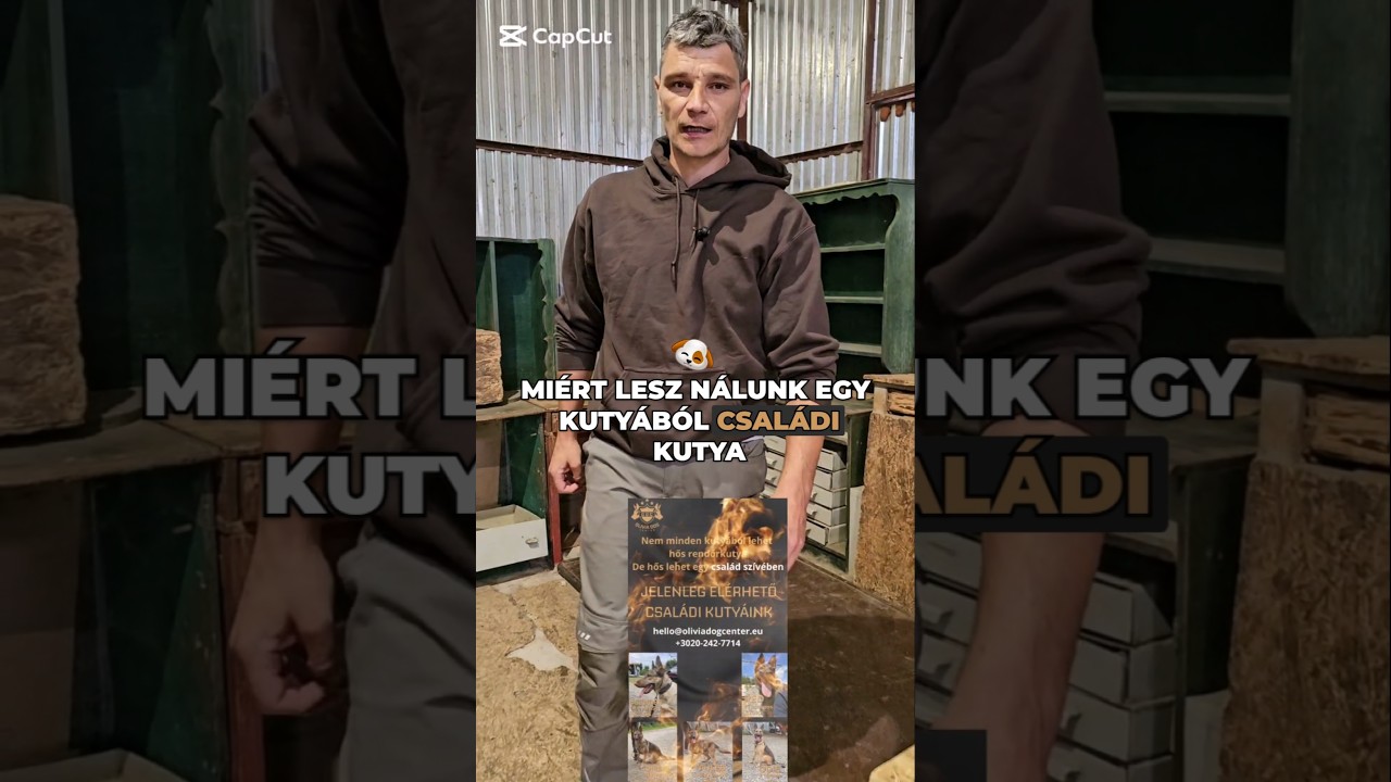 Csal&aacute;di kuty&aacute;k   