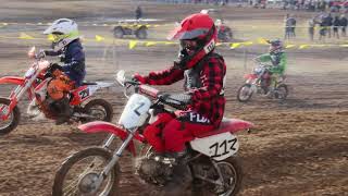 AWRCS Round 1 Redbank Race PeeWee Dirt Bikes 2023