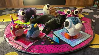 Patchwork pals - new friend 🥹🤩🩷🐈‍⬛