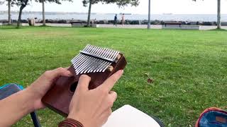 Veda Busesi - Kalimba