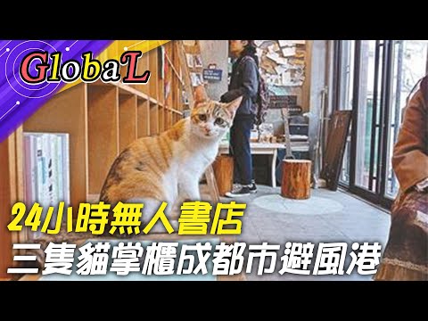 【Global】三隻貓掌櫃!24小時無人書店 成都市避風港@全球大視野Global_Vision
