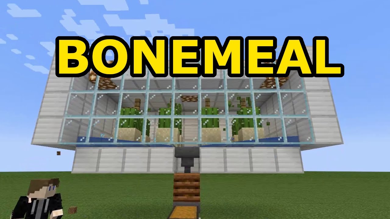 Automatic Cactus Bone Meal Farm - Minecraft Java 1.19.2 - YouTube